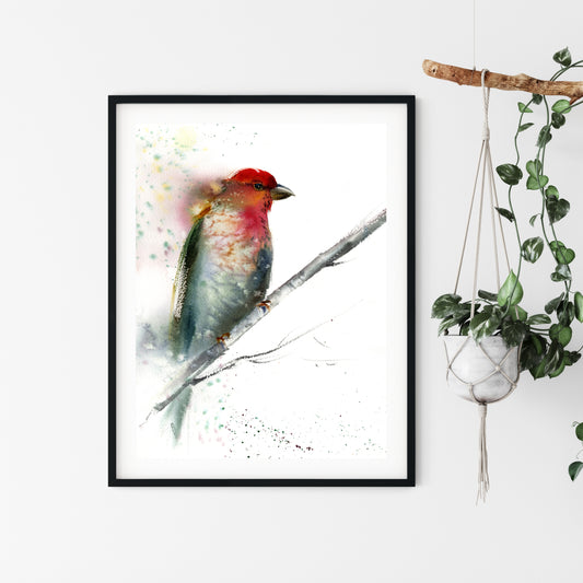 Watercolor Red Grey, Giclee Print, Abstract Bird Art, Minimalist Painting, Nature Illustration, Kids Room Decor