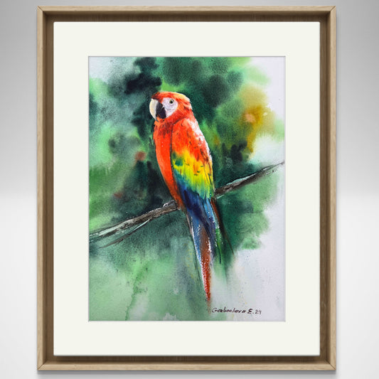Ara Parrot Bird Watercolor - Hand Painted Original Artwork