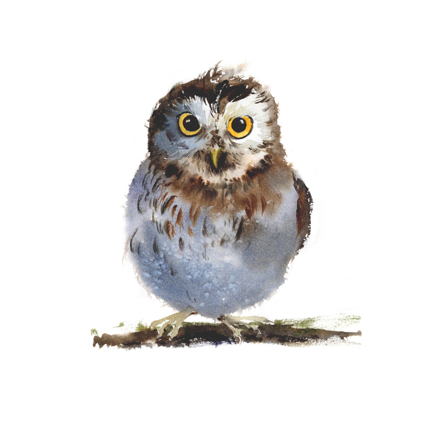 Cute Angry Owl Set of 2 Art Prints, Watercolor Prints, Gray Birds, Bird Animal Kids Room Wall Decor, Wildlife Print
