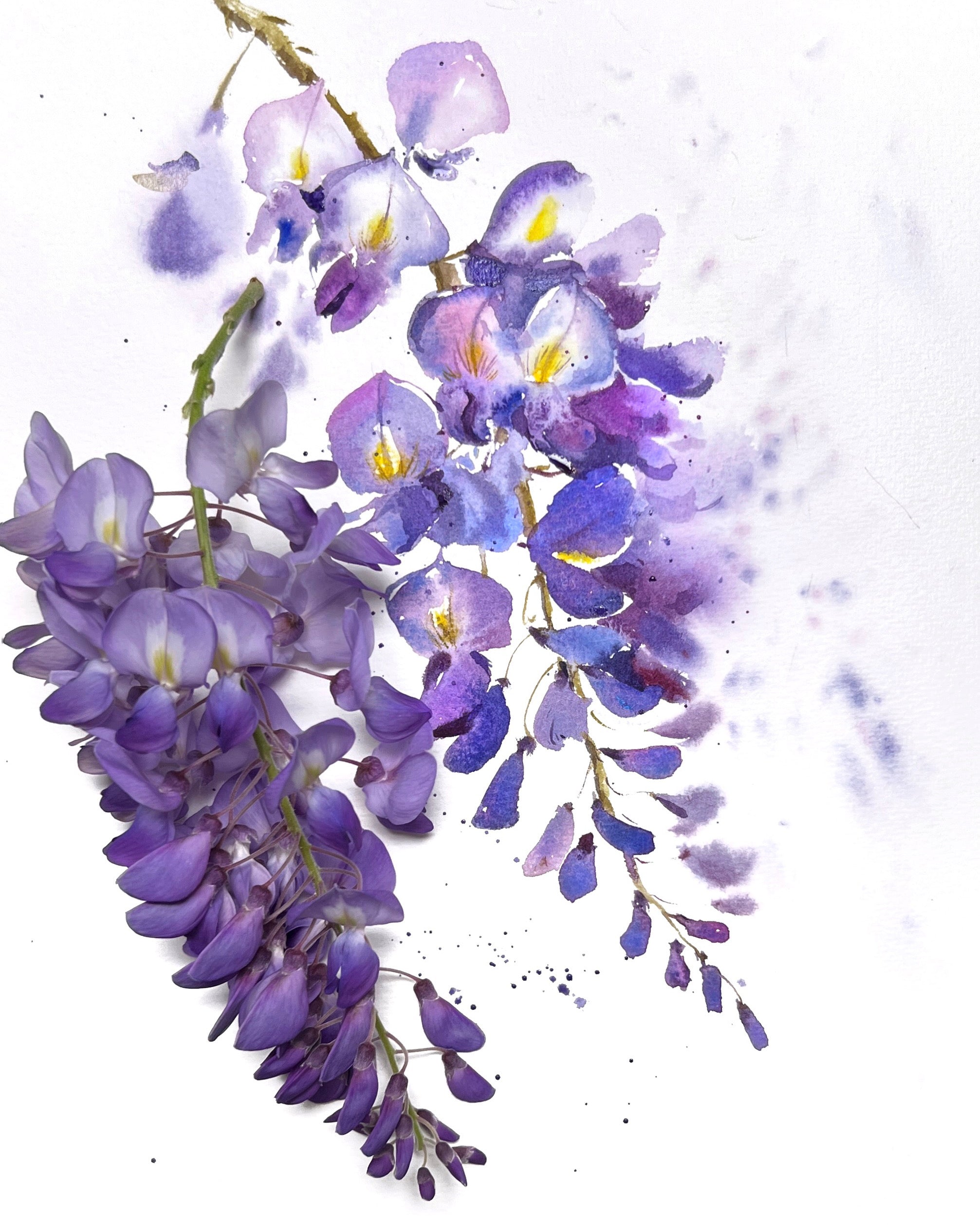 Wisteria original watercolor painting flowers wall art home hotsell decor 9x12, unframed