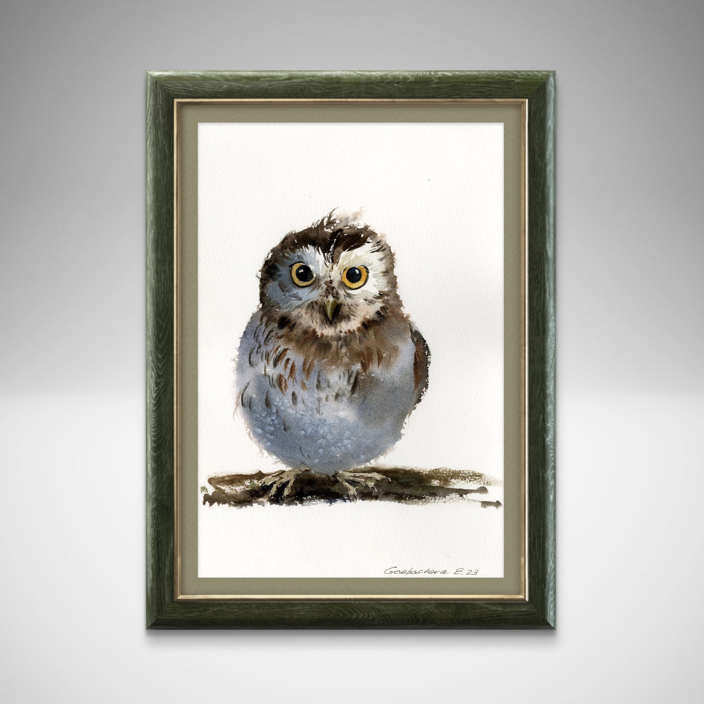 Little Owl Watercolor Painting, Little owl on a branch #17 8x12