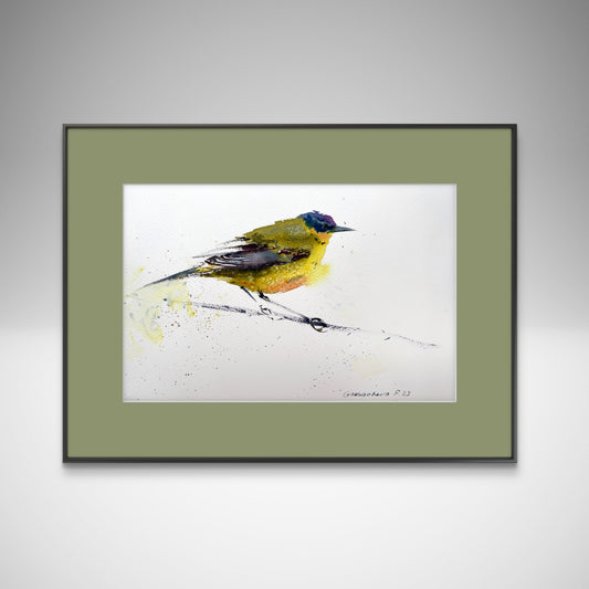 Wagtail, Watercolor Painting, Small Original Artwork, Bird Wall Art Decor, Nursery Wall Decor, Unique Gift