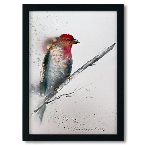 Watercolor Red Grey Bird Painting Original, Minimal Art Piece for Home, Gift for Art Lovers, Tropical Wall Decor