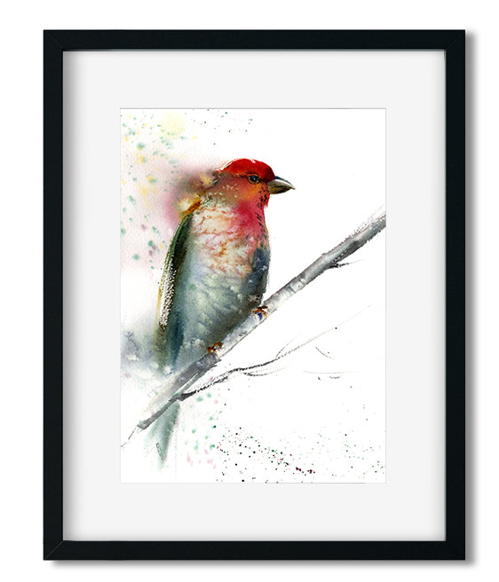 Watercolor Red Grey, Giclee Print, Abstract Bird Art, Minimalist Painting, Nature Illustration, Kids Room Decor
