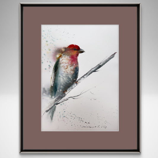 Watercolor Red Grey Bird Painting Original, Minimal Art Piece for Home, Gift for Art Lovers, Tropical Wall Decor