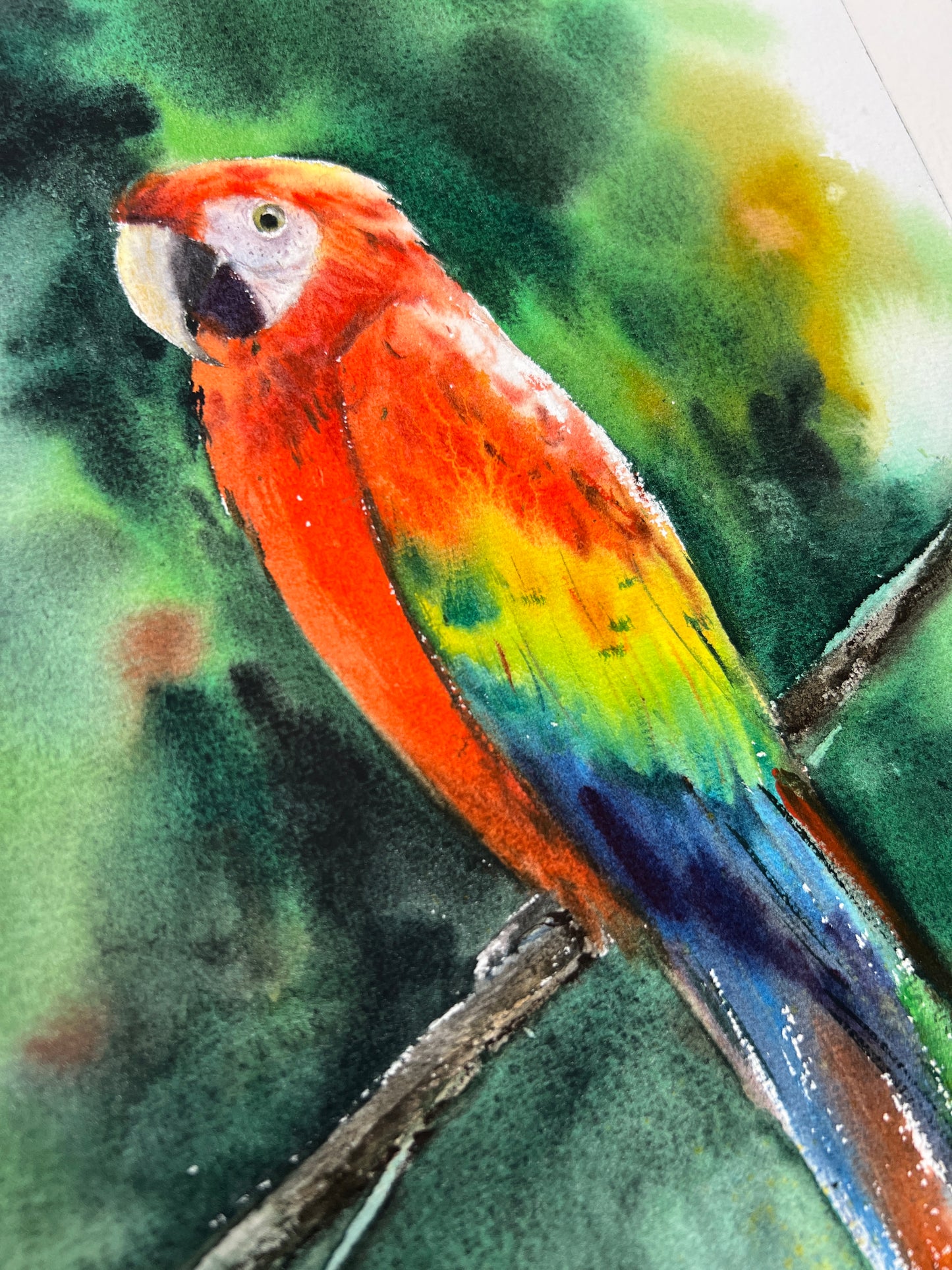 Ara Parrot Bird Watercolor - Hand Painted Original Artwork