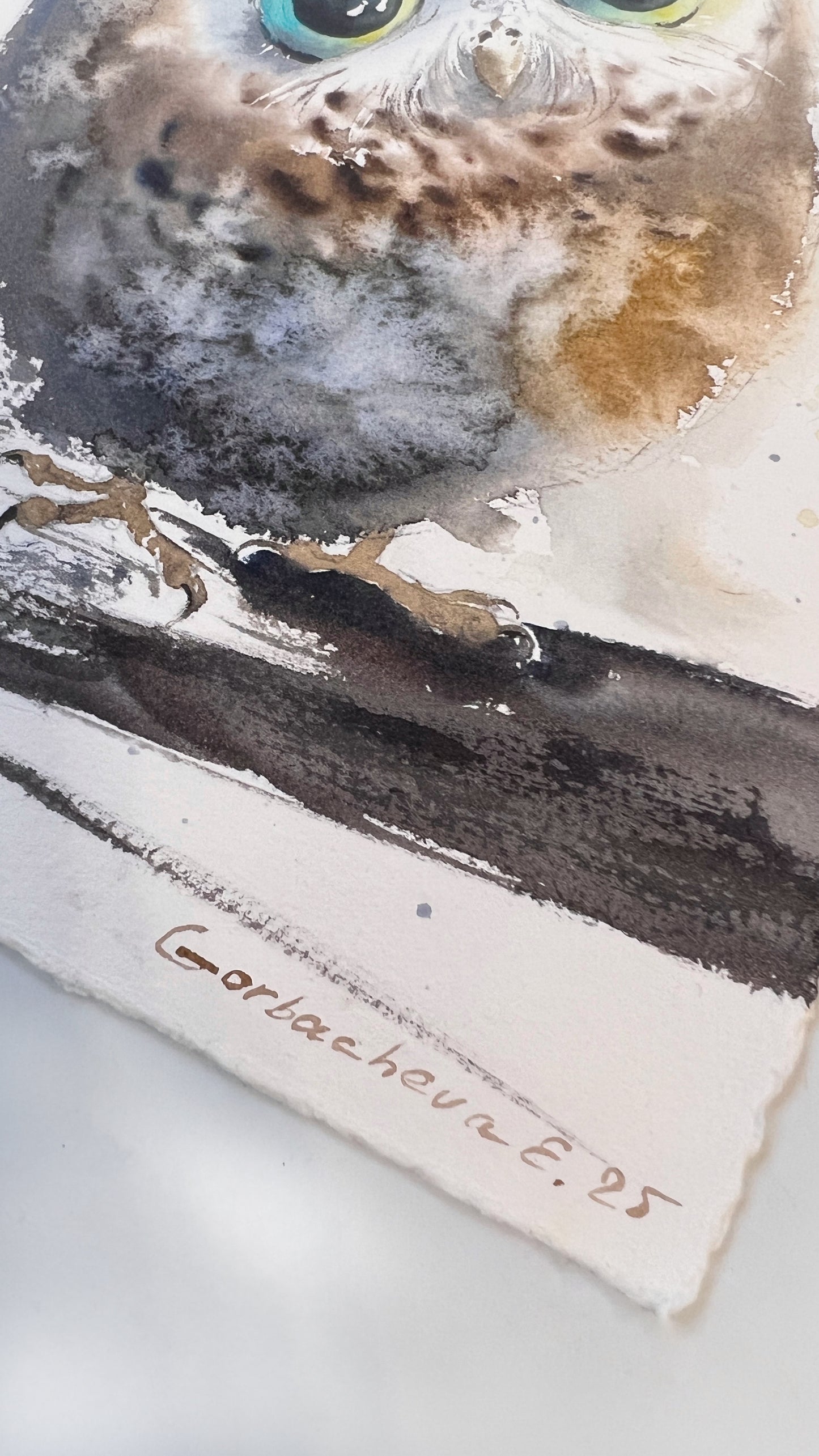 Owl painting original watercolor, cute little owl perched on branch, delicate nature-inspired art