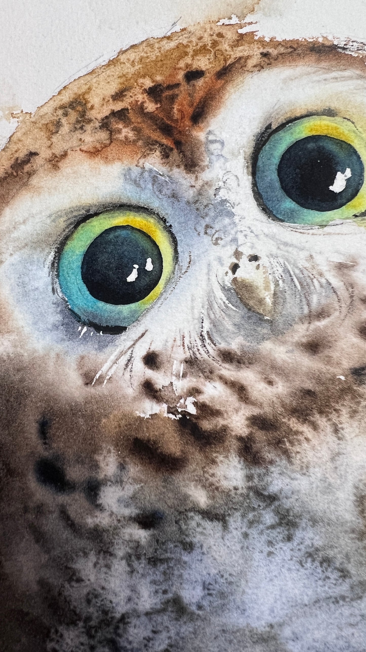 Owl painting original watercolor, cute little owl perched on branch, delicate nature-inspired art