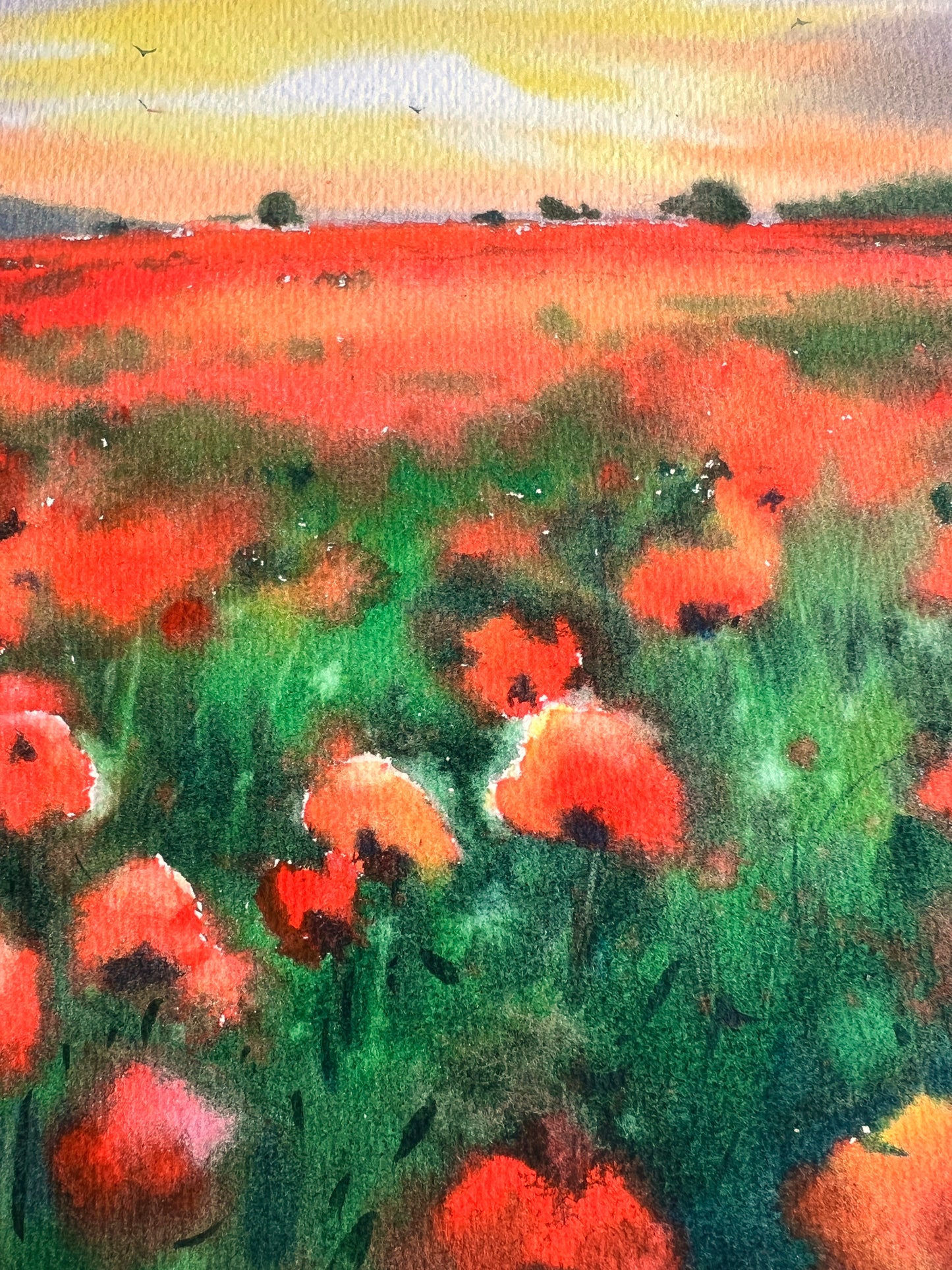 Watercolor Poppies Painting Original, Red Flowers Art - Poppy field at sunset