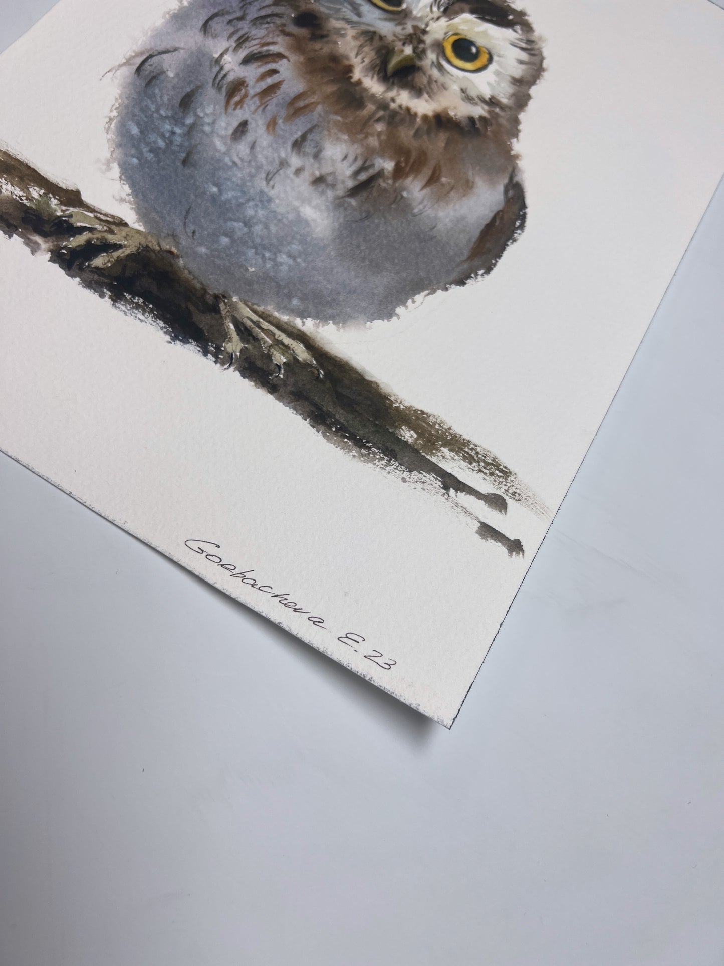 Little Owl Watercolor Painting, Little owl on a branch #17 8x12
