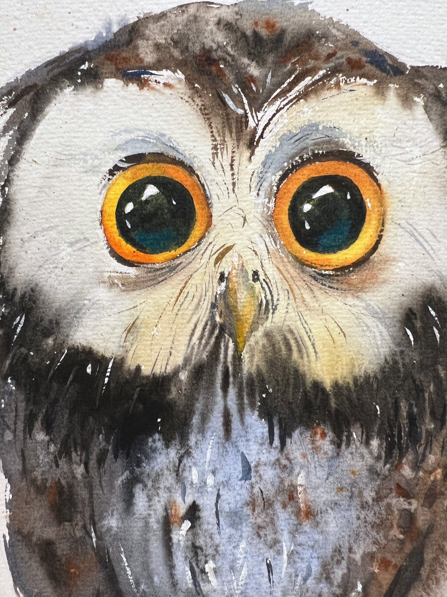 Adorable Owl Painting - Original Watercolor, Ideal Christmas Gift for Nature Lovers