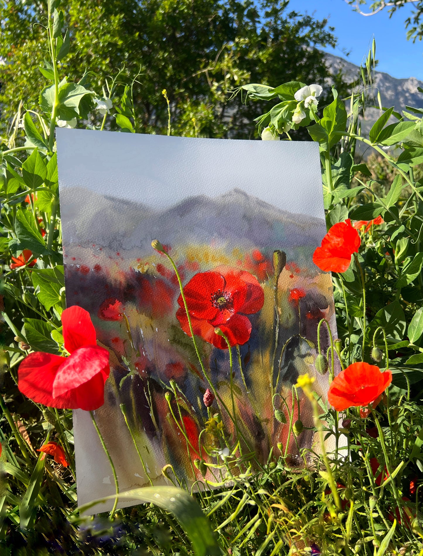 Red Flower Watercolor Painting Original, Californian Poppy Field, Landscape, Kitchen Wall Decor, Botanical Art, Gift