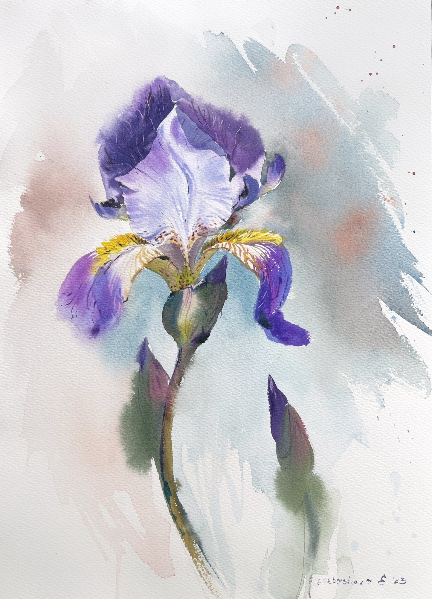 Iris Painting Original Watercolor, 16 by 11 inches, Purple Flower Wall Art, Handmade Floral Artwork Watercolor, Gift