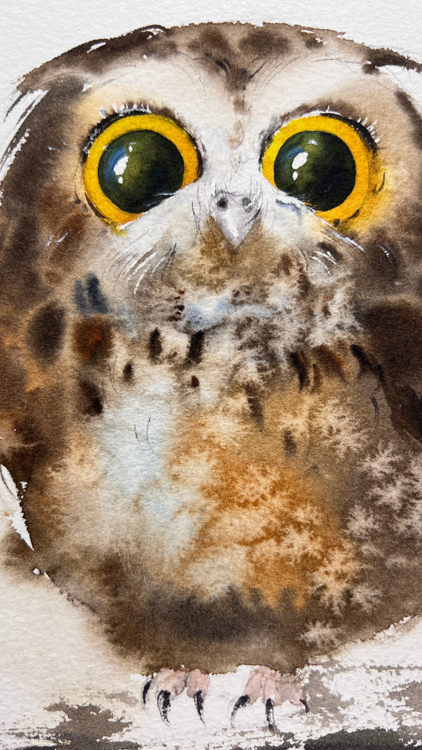 Original Watercolor Painting Tiny Owl, Cute Baby Owl Art, Amber-Eyed Owlet 8 x 10 in