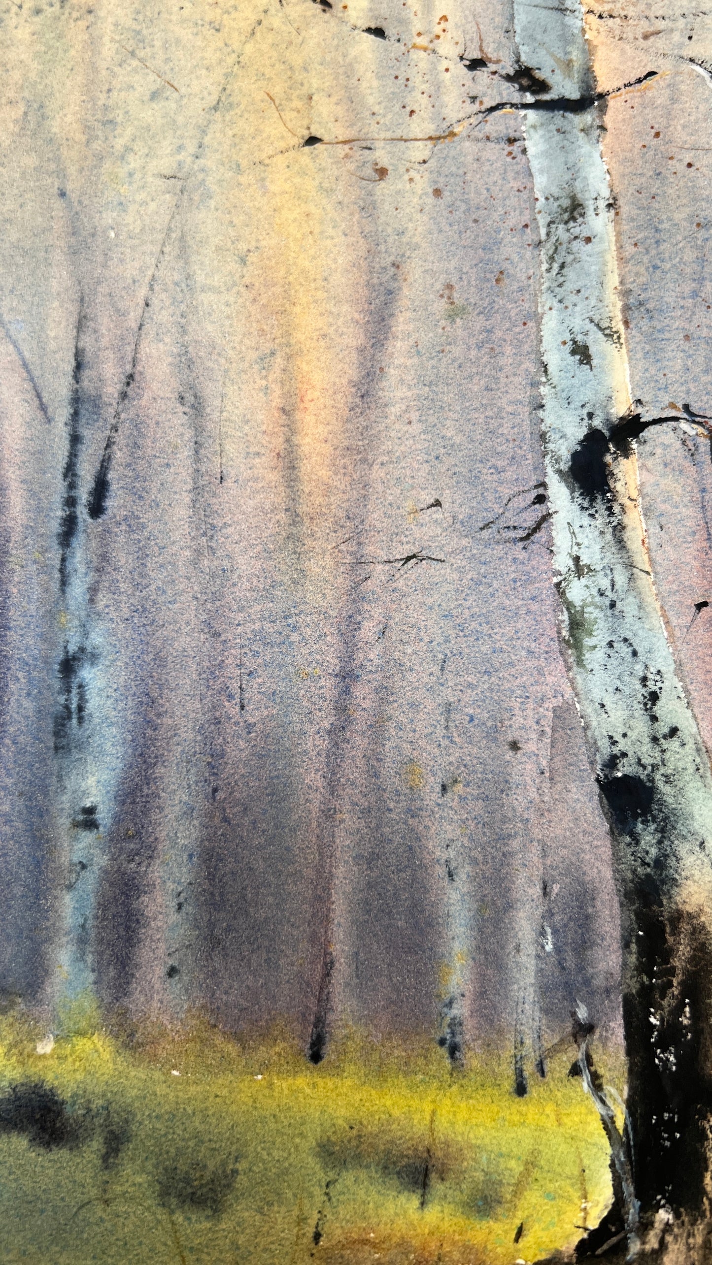 Birch Forest Watercolor Painting, Moody Woodland Landscape Art, Birchwood Dreams 12x16