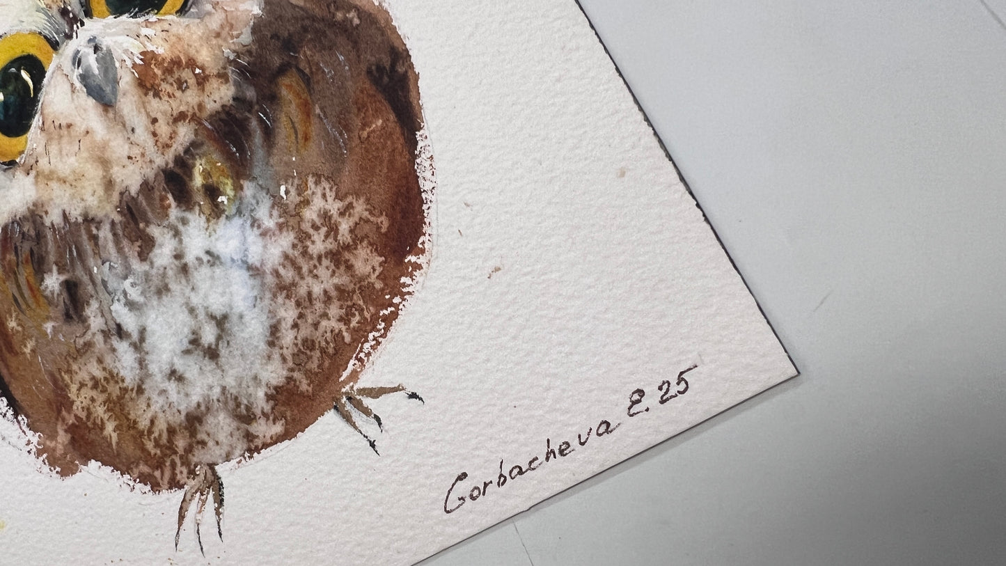 Original Watercolor Painting Tiny Owl, Cute Baby Owl Art, Charming owlet 7x7 in