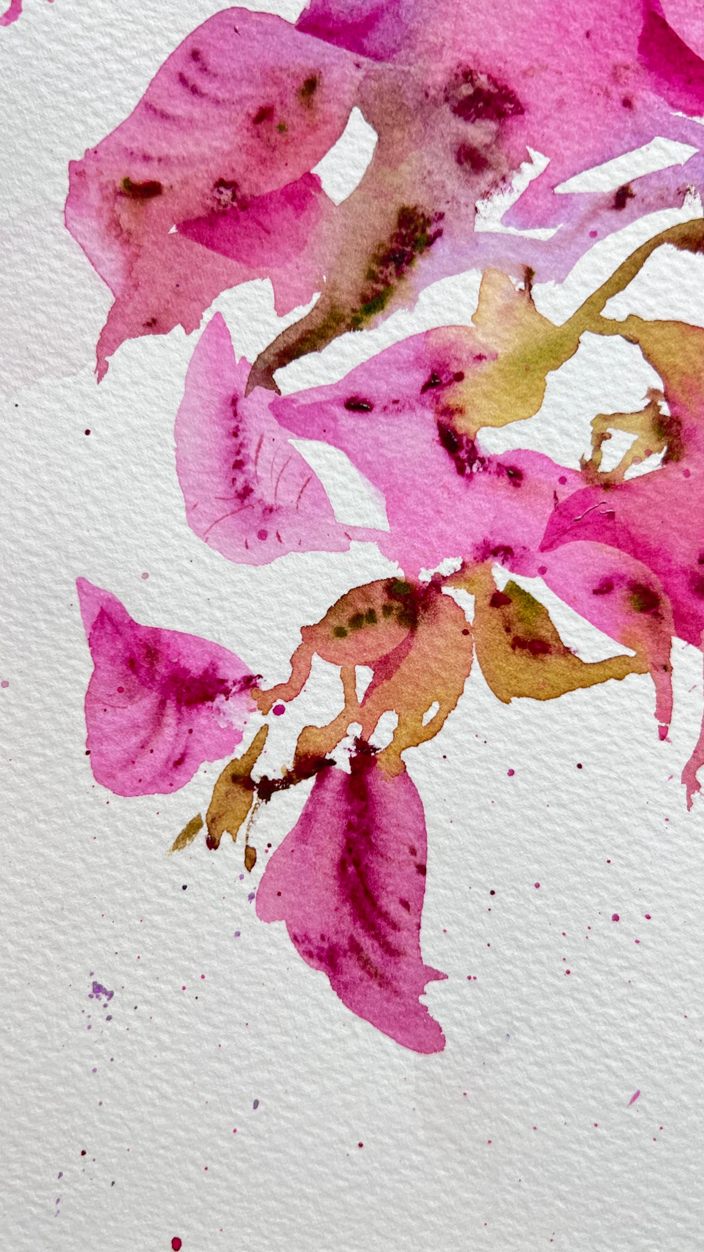 Original Bougainvillea Watercolor Painting | Bougainvillea Dream 9 х 12 in