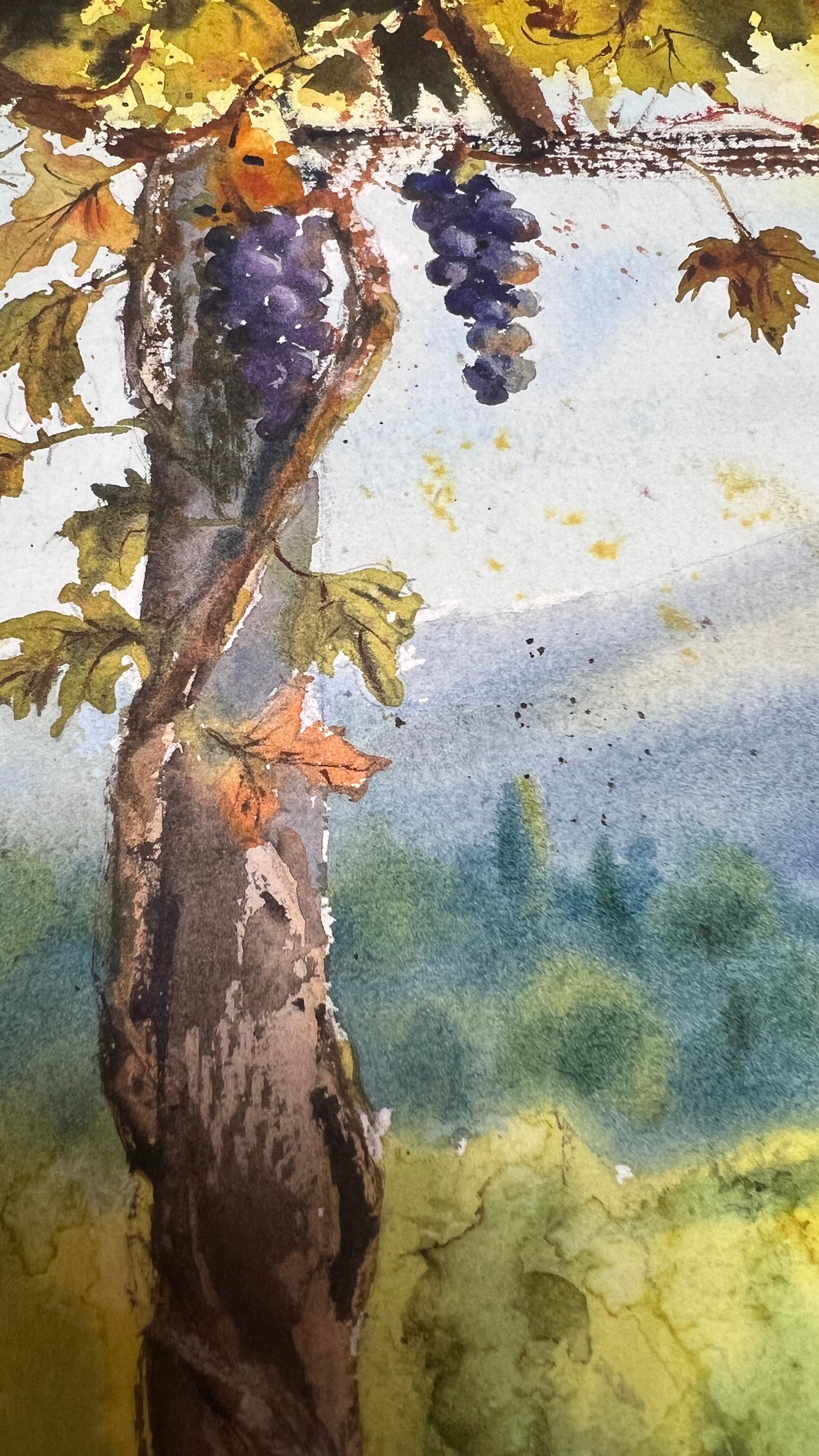 Original Tuscany Vineyard Watercolor | Where Wine Begins 12x16 in