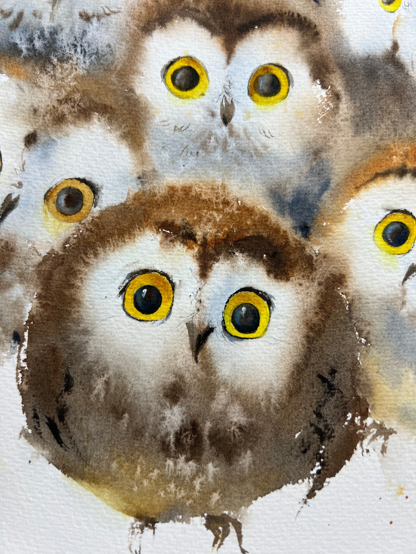 Whimsical Owlet Watercolor Painting - Original Artwork