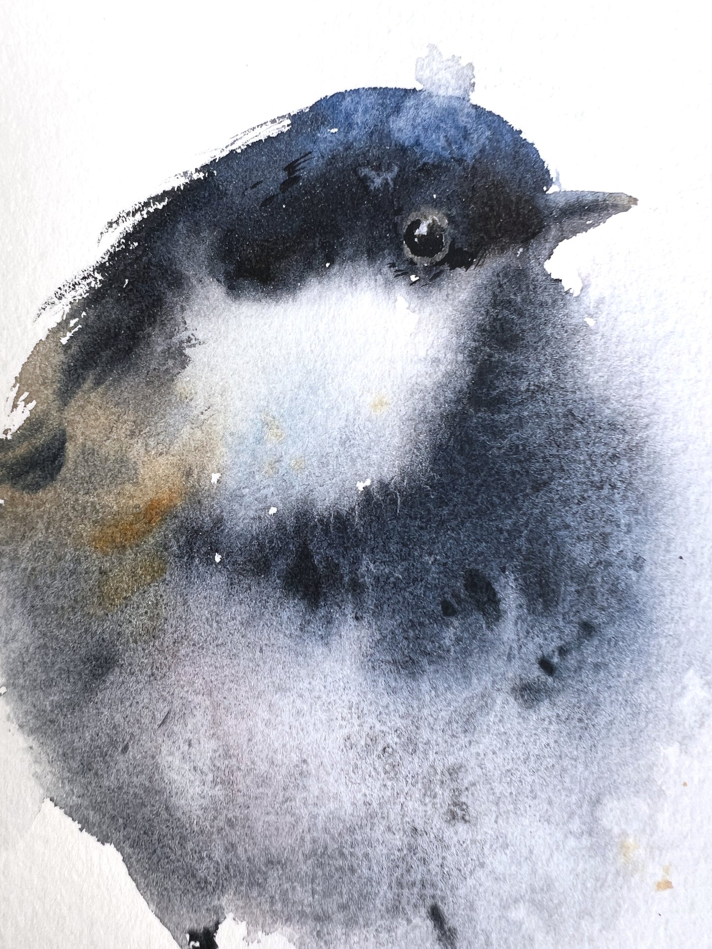 Watercolor Painting of Small Gray Bird, Original Art, Beautiful Wall Accent, Christmas Gift for Nature Enthusiasts