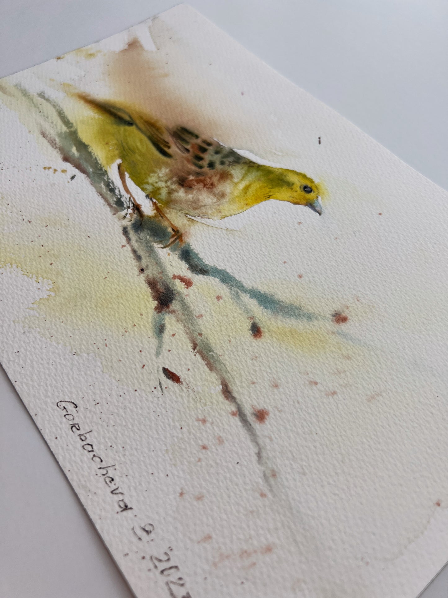 Yellow Bird Art, Original Watercolor Painting of a Tropical Bird, Perfect Art for Home Decor, Unique Home Decor Gift