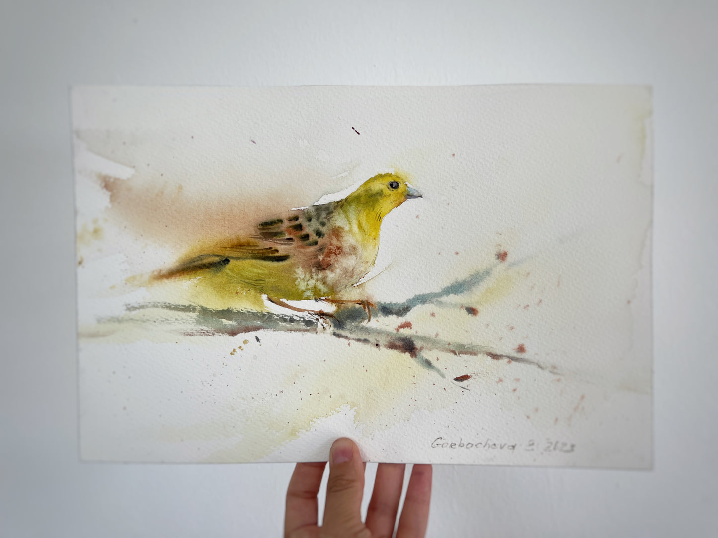 Yellow Bird Art, Original Watercolor Painting of a Tropical Bird, Perfect Art for Home Decor, Unique Home Decor Gift