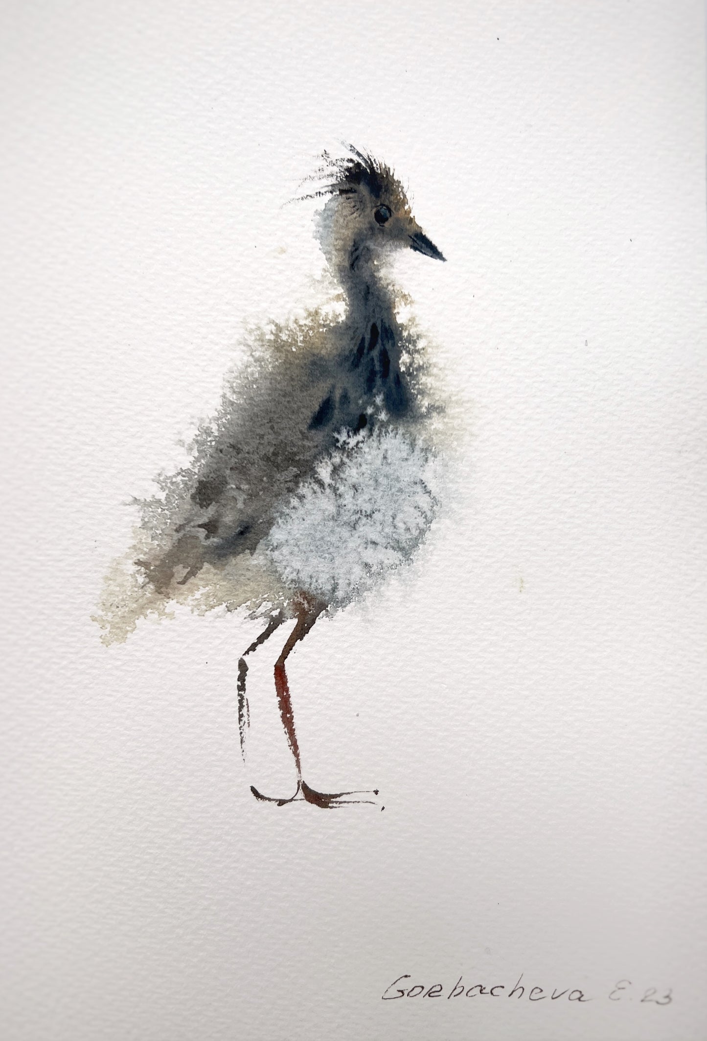 Small Watercolor Painting of Gray Lapwing Chick, Original Bird Art, Beautiful Wall Accent, Christmas Gift for Nature Lover