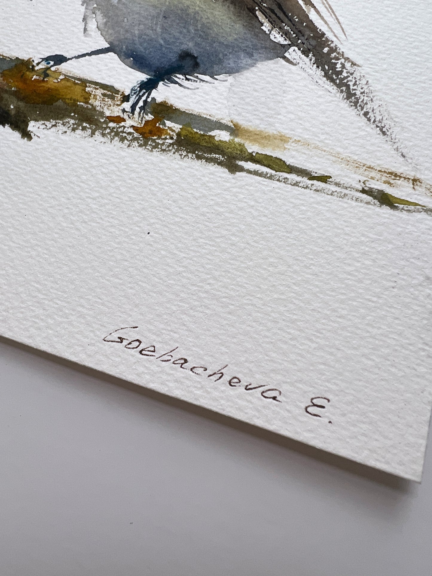 Original Bird Watercolor Painting, Little bird #4 6x8