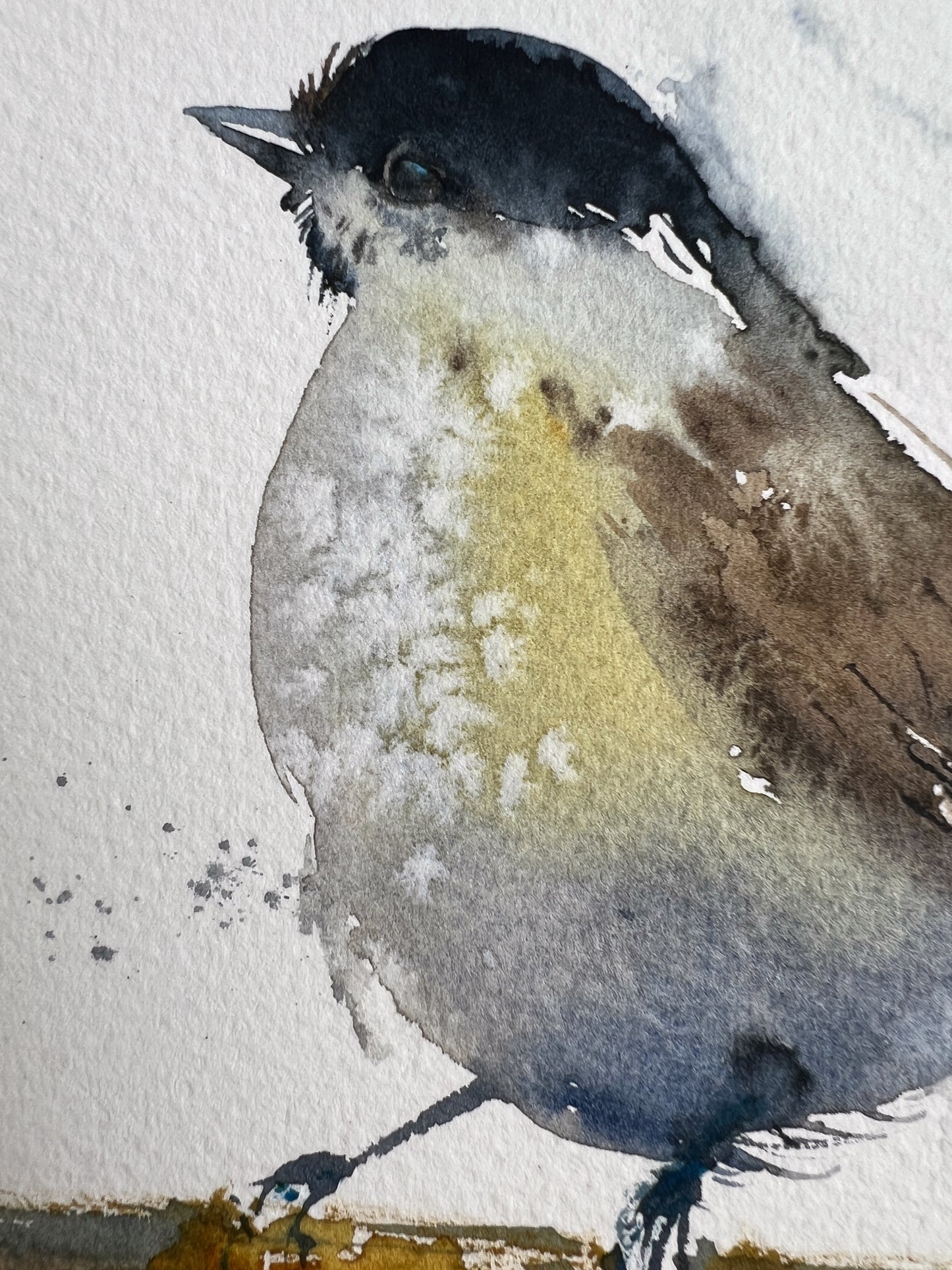 Original Bird Watercolor Painting, Little bird #4 6x8
