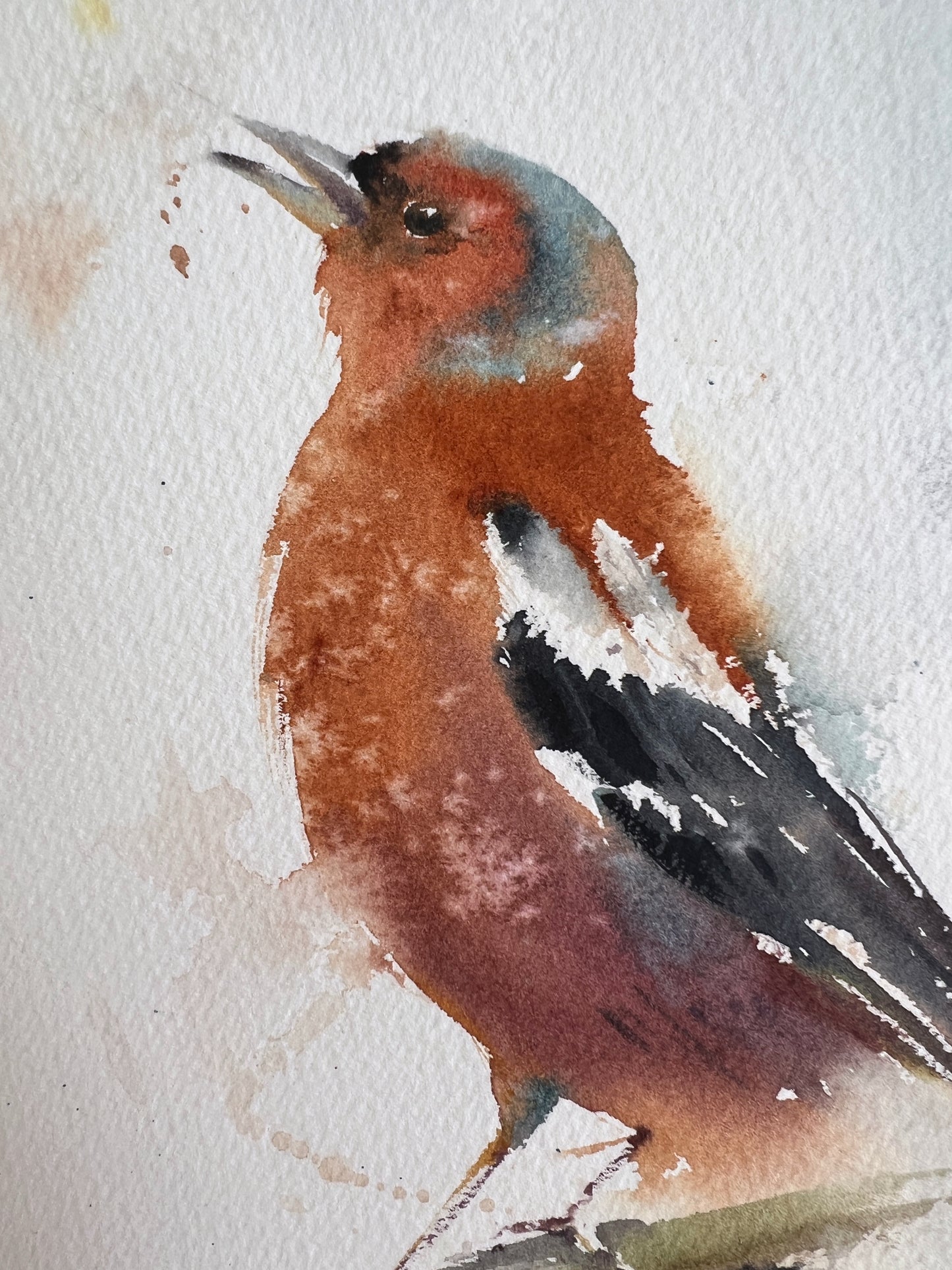 Watercolor Bird Painting, Jay Original Artwork, Bird Wall Decor, Nursery Art, Christmas Gift