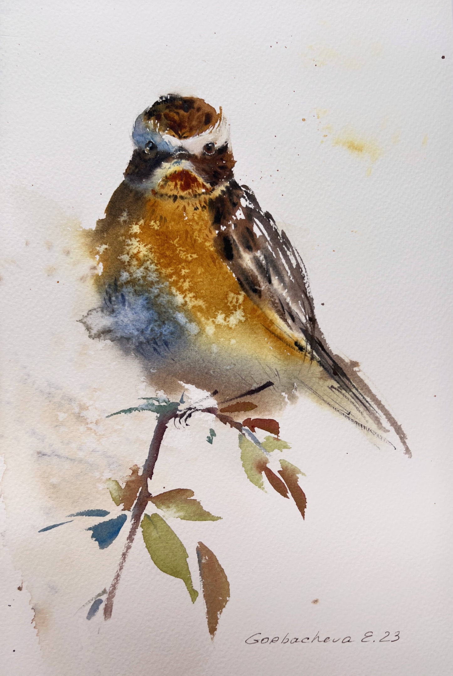 Meadow Bird Original Art Watercolor Painting | Wildlife | Gift Artwork | Home Decor or Art Gift