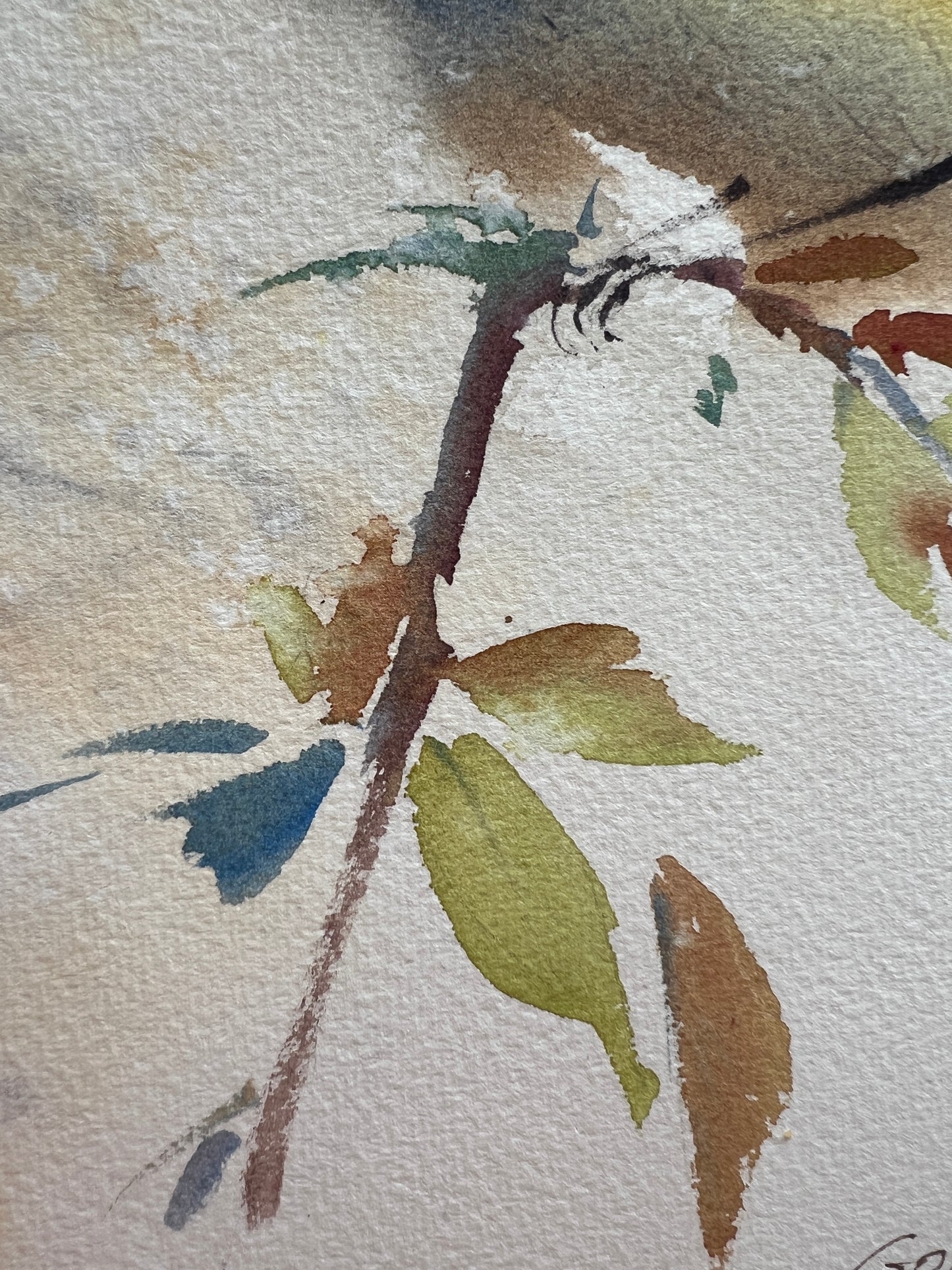 Meadow Bird Original Art Watercolor Painting | Wildlife | Gift Artwork | Home Decor or Art Gift
