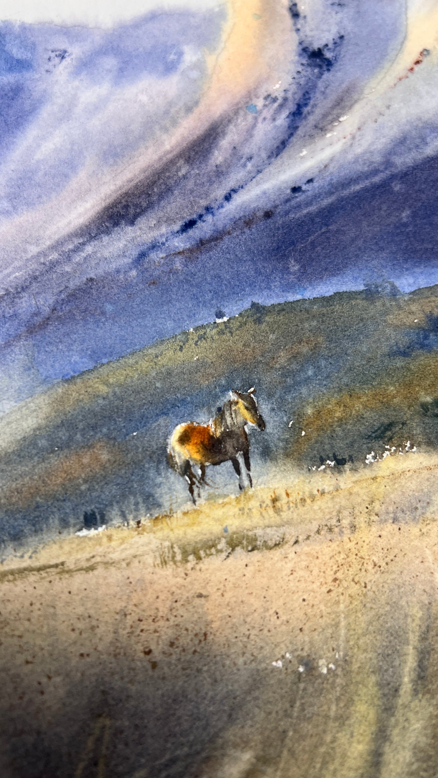 Original Mountain Landscape Watercolor Painting, Horse in High Grass Field Art, Where the Wind Runs Free 12x16