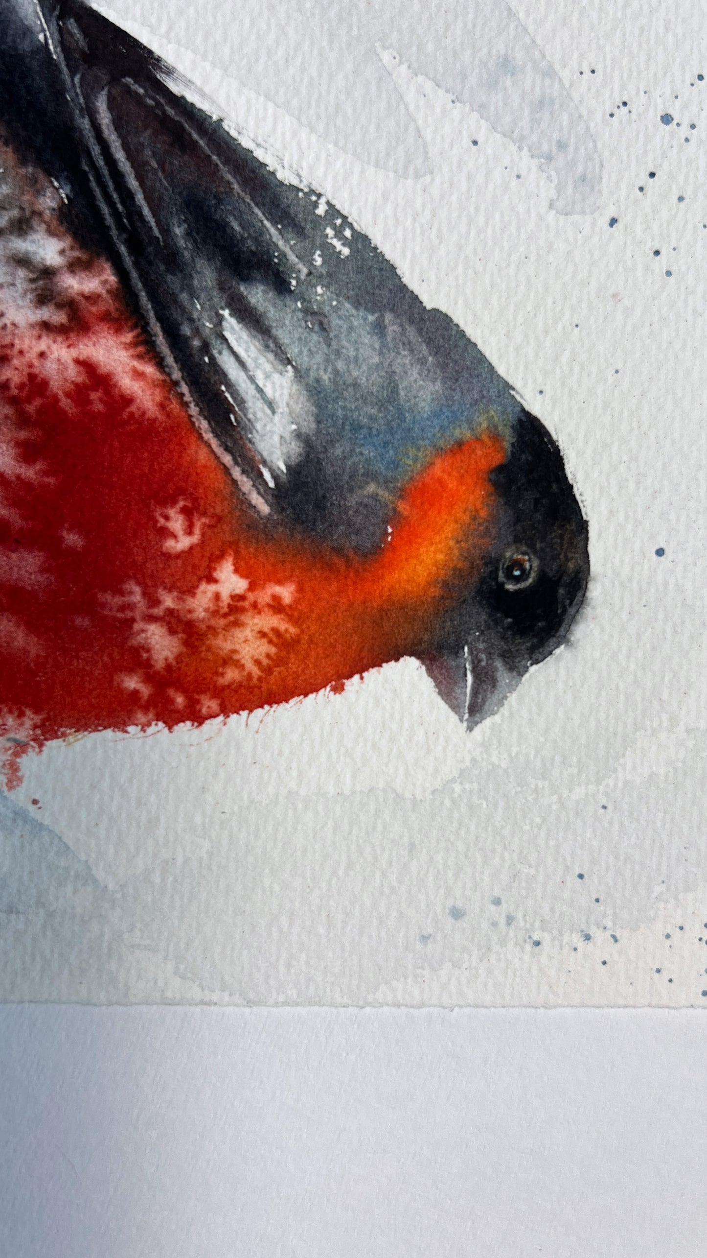 Bullfinch Painting, Original Watercolor Bird Art, Perfect for Home Decor, Unique Gift for Bird Lovers