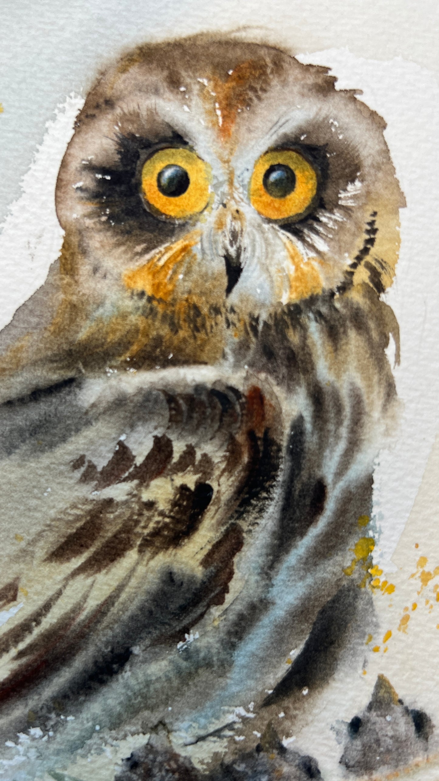 Original Wild Bird Painting - Owl in the nest - 6x8 in