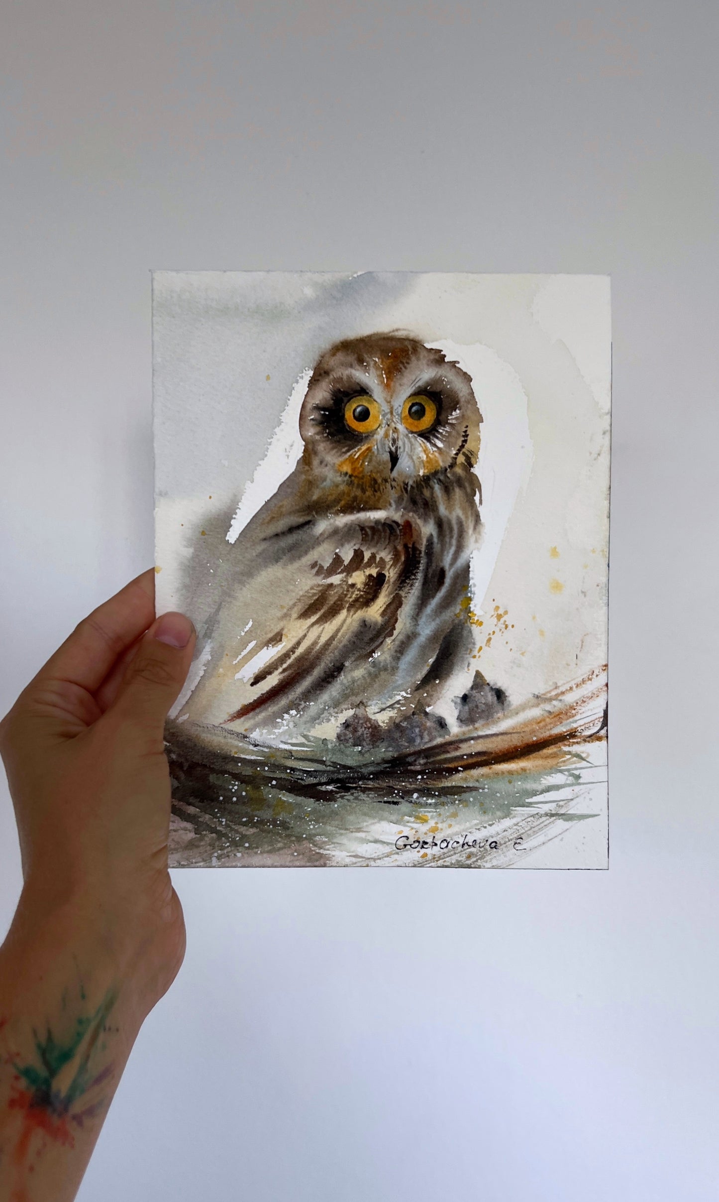 Original Wild Bird Painting - Owl in the nest - 6x8 in