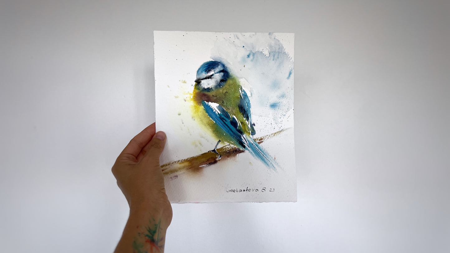 Watercolor Blue Yellow Tit Bird Painting Original, Eurasian Wildlife Art, Home Decor Gift, Small Artwork