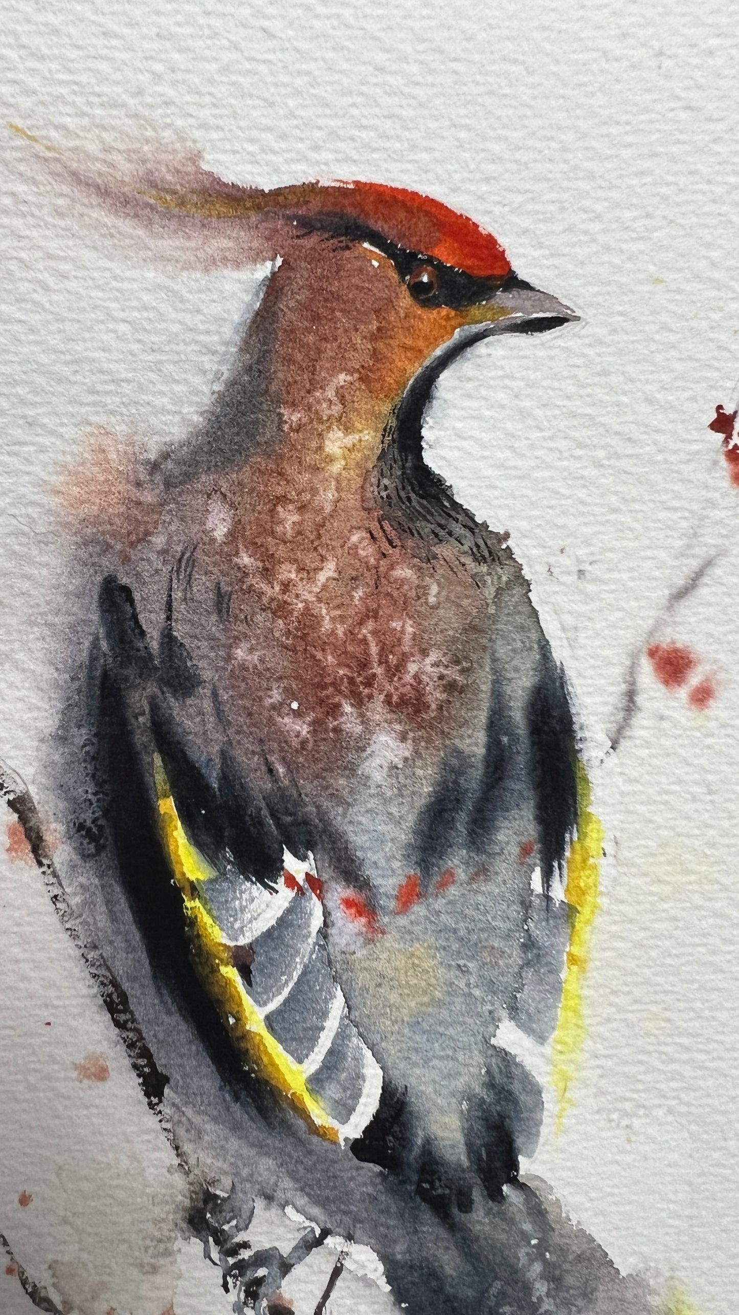 Waxwing Bird Painting, Watercolor Original Art, Wildlife, Small Artwork, Home Wall Decor
