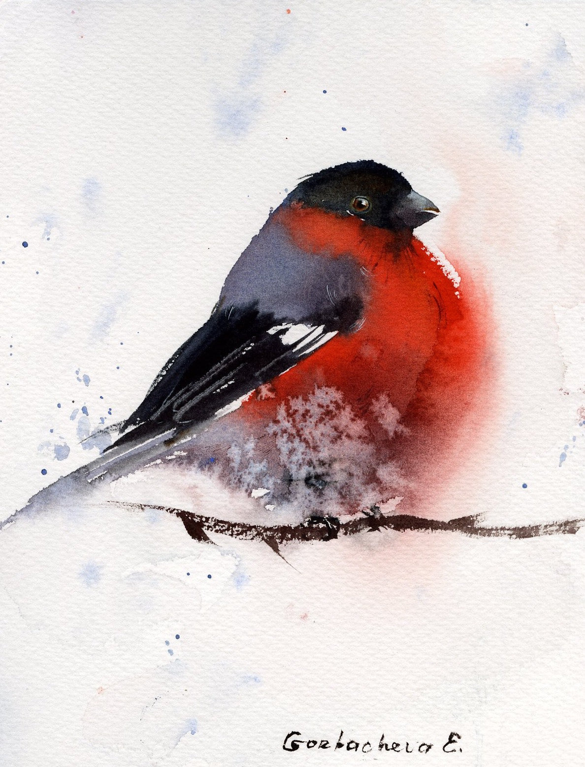 "Bullfinch #2" Watercolor Painting - Charming Bird Art, Ideal Gift for Bird Watchers, Handcrafted Avian Decor