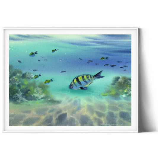 Red Sea Coral Reef Underwater Wall Art, Print Decor for Home & Office Design, Scuba Diving I Archival Paper or CANVAS