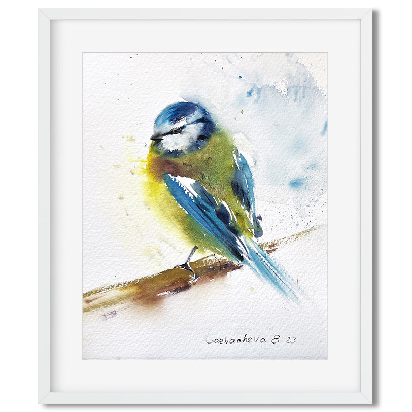 Watercolor Blue Yellow Tit Bird Painting Original, Eurasian Wildlife Art, Home Decor Gift, Small Artwork