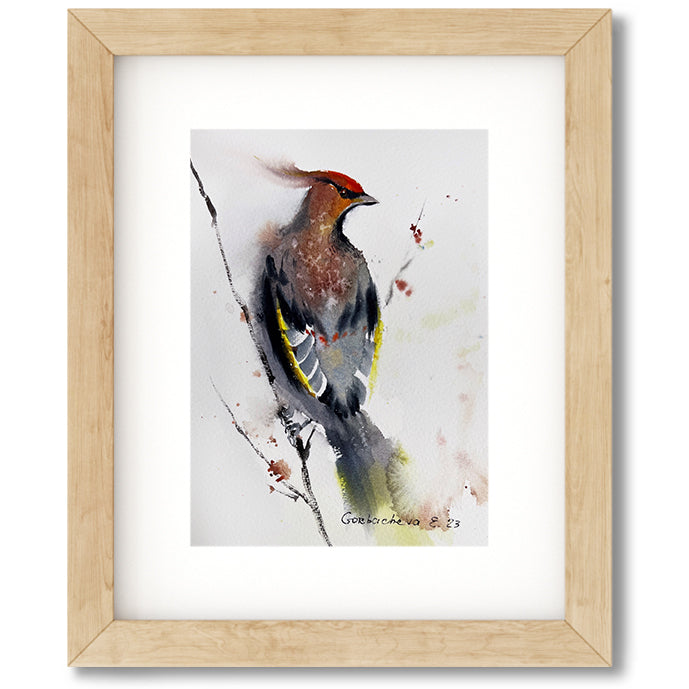 Waxwing Bird Painting, Watercolor Original Art, Wildlife, Small Artwork, Home Wall Decor