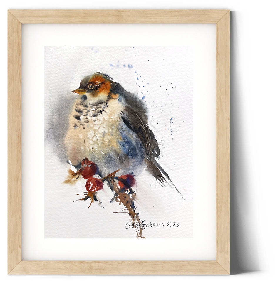 Original Art - Watercolor Painting of Small Gray Bird and Red Berries - Beautiful Wall Accent - Christmas Gift for Nature Enthusiasts