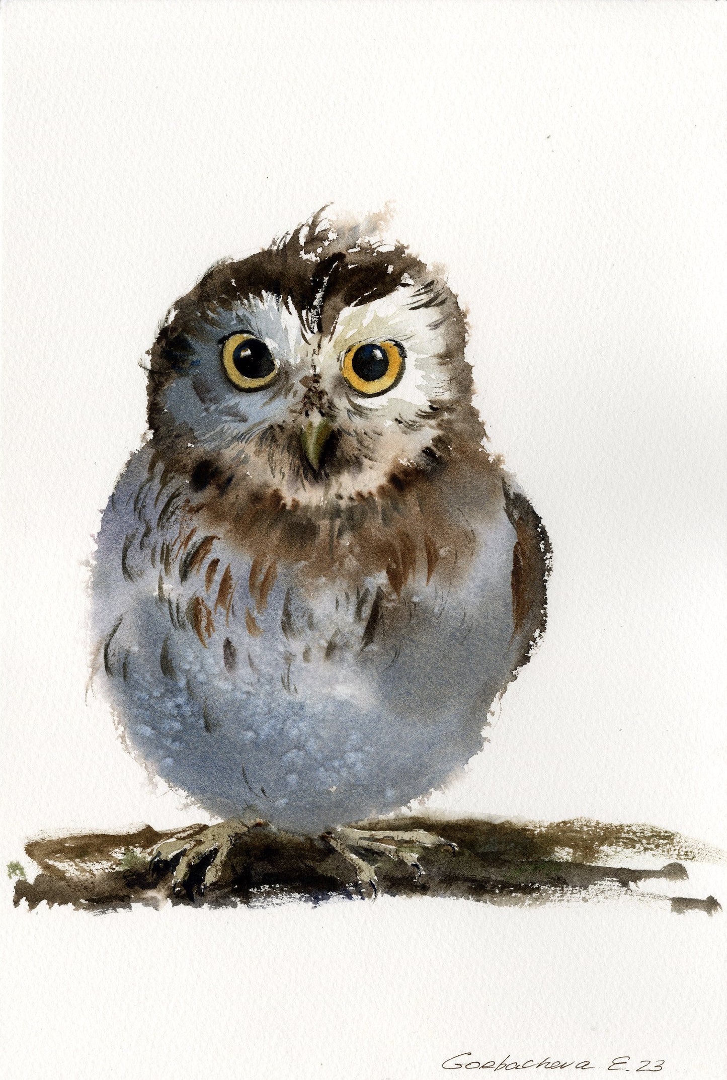 Little Owl Watercolor Painting, Little owl on a branch #17 8x12