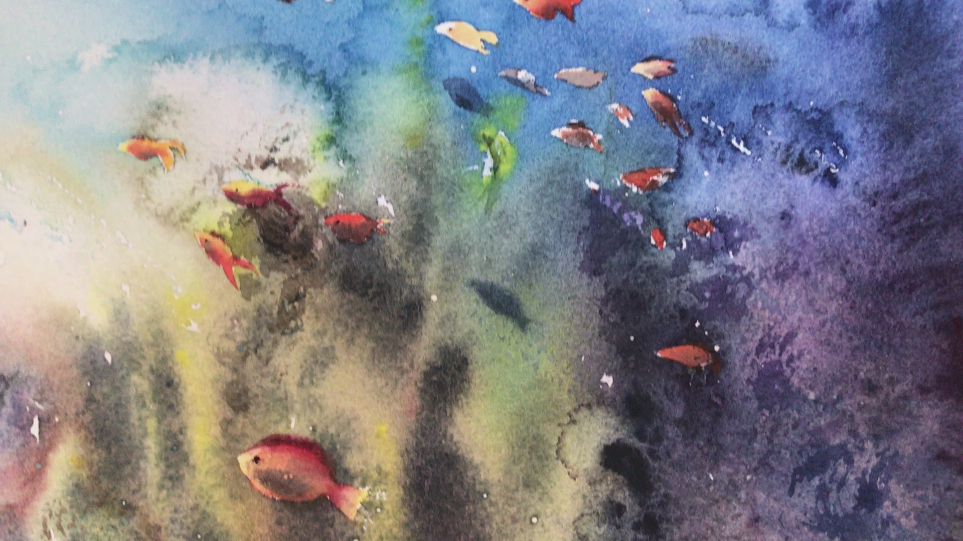 underwater fish paintings