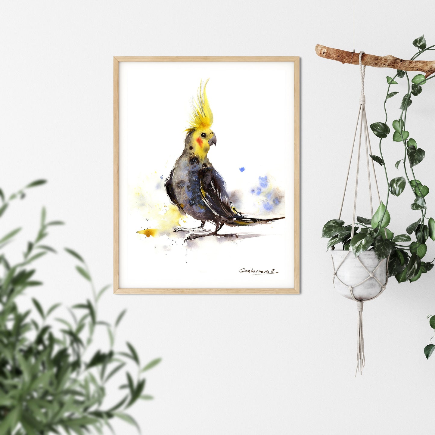 Parrot Art Print, Watercolor Bird Wall Decor, Yellow, Gray, Cockatiel Art, Minimalist Birds, Giclee, Parrot Lover Gift