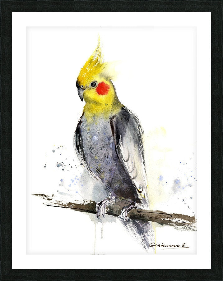 Cockatiel Art Print, Watercolor Bird Painting, Gray, Yellow, Parrot Art Prints, Minimalistic Birds, Giclee Canvas Print