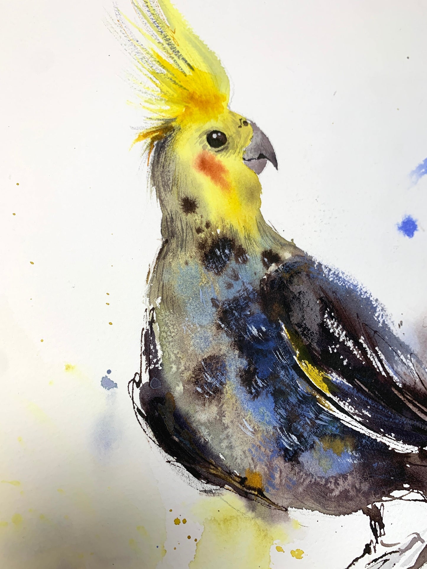 Bird Watercolor Painting Original, Cockatiel Tropical Art, Parrot Lover Gift Artwork, Yellow Gray Wall Decor