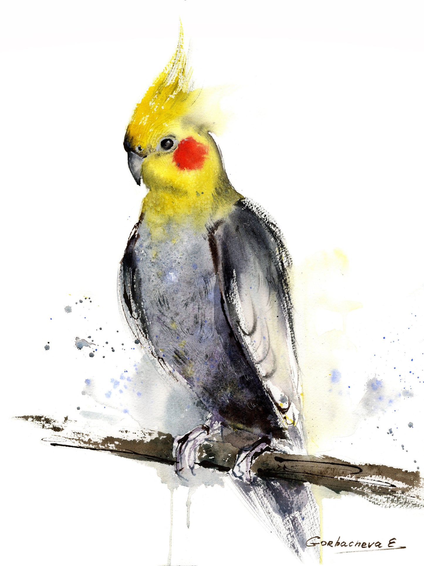 Watercolor Bird Set of 2, Art, Minimalist Art Prints, Tropical Birds Wall Art, Yellow Gray Cockatiel Decor