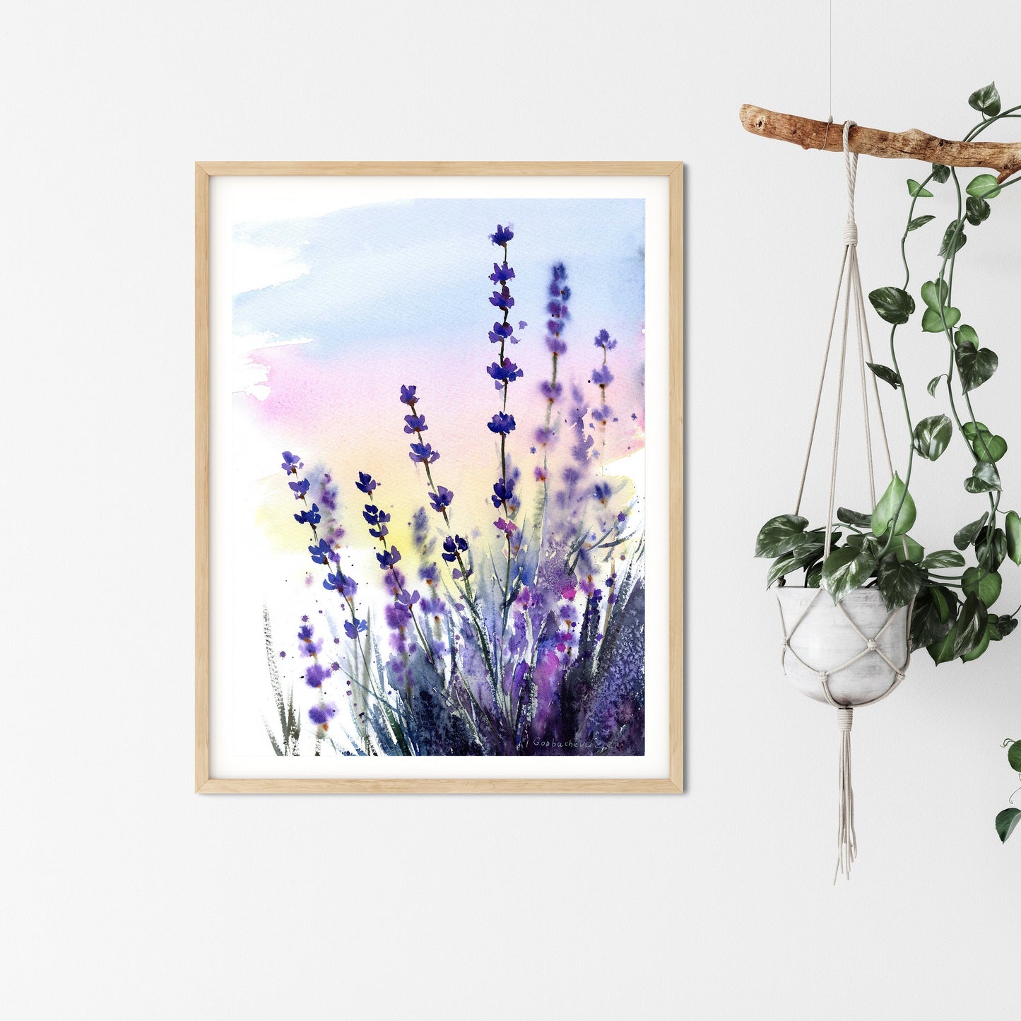 lavender wall plant Herbal Flower Art Print, Provence Home Wall Decor, Lavender Watercolor – Watercolour Art by Eugenia Gorbacheva